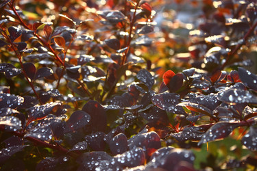 Similar image 1609699