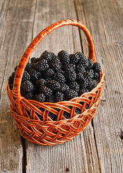 Similar image 1609703