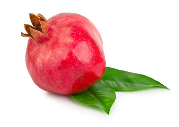 Similar image 1609729