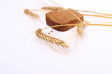 Similar image 1609739