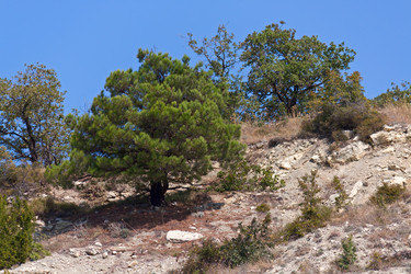 Similar image 1609744