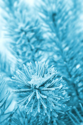 Similar image 1609849