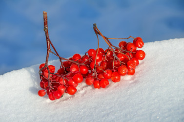 Similar image 1609850