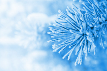 Similar image 1609851