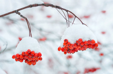 Similar image 1609852