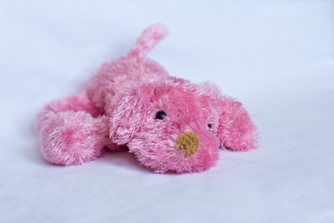 Similar image 1610683