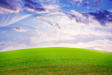 Similar image 1612552