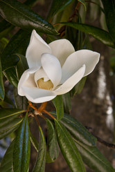 Similar image 1614260