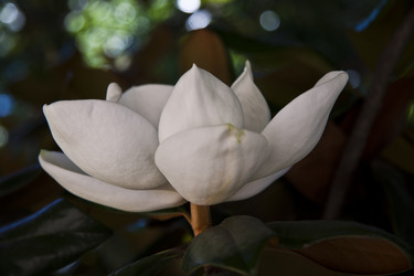 Similar image 1614274