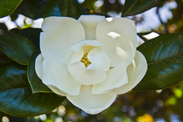 Similar image 1614276