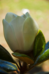 Similar image 1614275