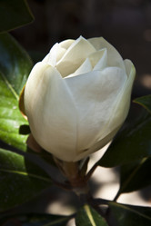 Similar image 1614279