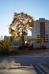 Similar image 1614437