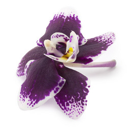 Similar image 1614477