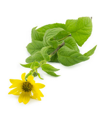 Similar image 1614489