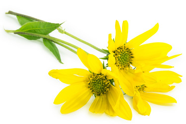 Similar image 1614498