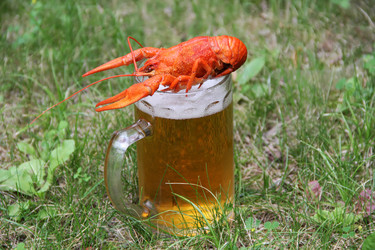 Similar image 1614727