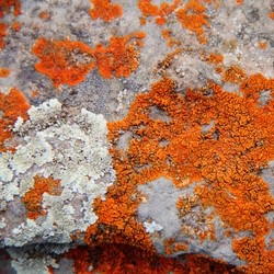 Similar image 1614728