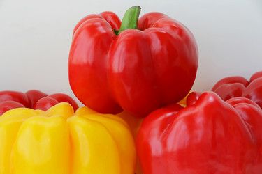 Similar image 1614729