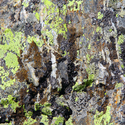 Similar image 1614734