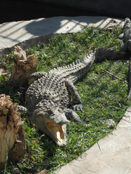 Similar image 1614735