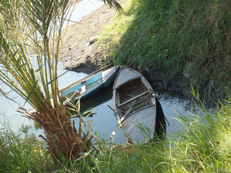 Similar image 1614736