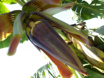 Similar image 1614737