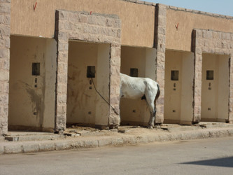 Similar image 1614738