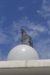 Similar image 1615027