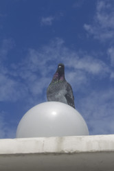 Similar image 1615030