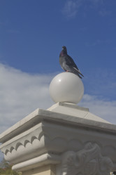 Similar image 1615035