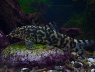 Similar image 1616653