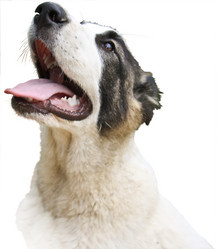 Similar image 1616730