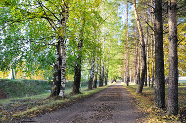 Similar image 1616763