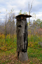 Similar image 1616787