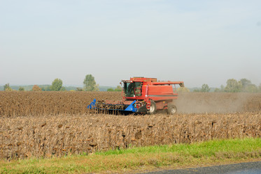 Similar image 1617227