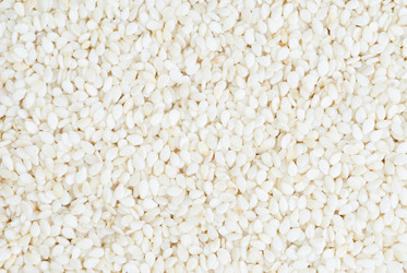 Similar image 1617229