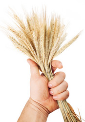 Similar image 1617310