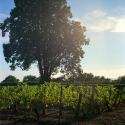 Similar image 1617316