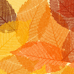 Similar image 1617650