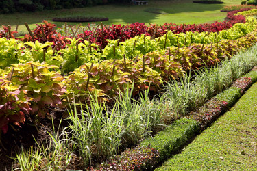 Similar image 1617701