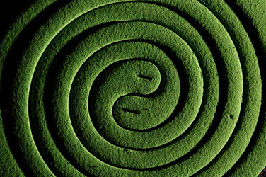 Similar image 1617731