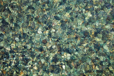 Similar image 1617736