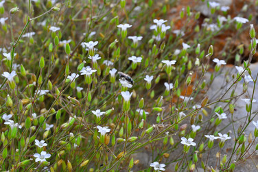 Similar image 1617751