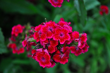 Similar image 1617753