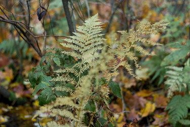 Similar image 1617793