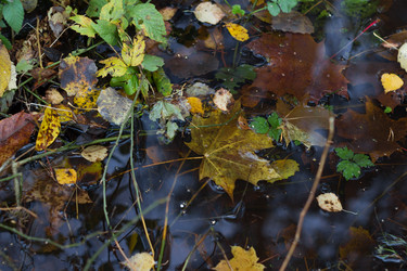 Similar image 1617796