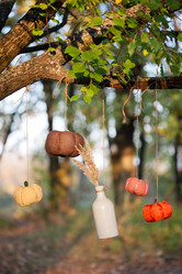 Similar image 1617809