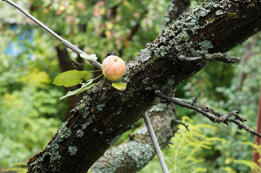 Similar image 1617817