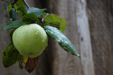 Similar image 1617822